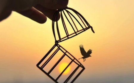 وفا — انتخاب، اخلاص اور یکسوئی کی کہانی