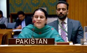 اقوام متحدہ کی سلامتی کونسل میں، پاکستان نے بھارت پر دہشت گردی برآمد کرنے، اقلیتوں پر ظلم کرنے پر تنقید کی۔