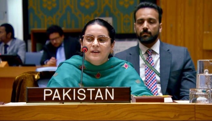 اقوام متحدہ کی سلامتی کونسل میں، پاکستان نے بھارت پر دہشت گردی برآمد کرنے، اقلیتوں پر ظلم کرنے پر تنقید کی۔