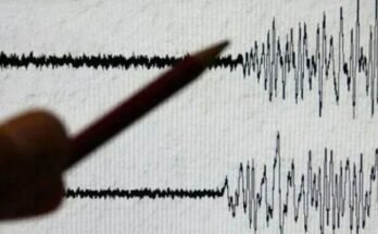 پنجاب کے مختلف علاقوں میں 4.8 شدت کے زلزلے سے کم از کم ایک ہلاک