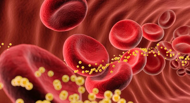 A cartoon of blood cells with cholesterol flowing through a blood vessel.
