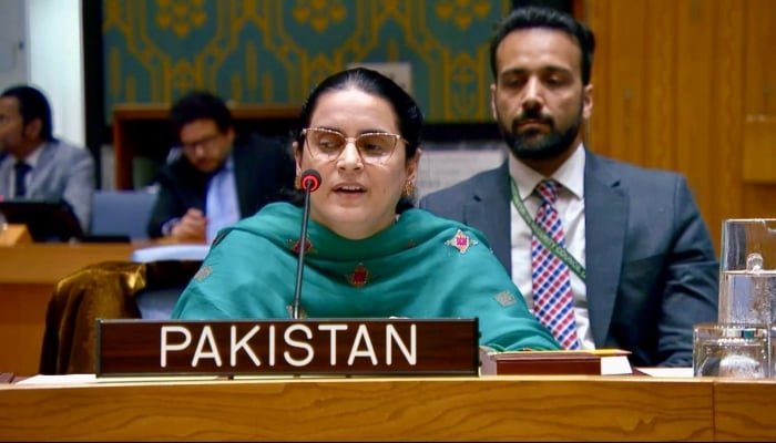 اقوام متحدہ میں پاکستان کے مستقل مشن کے لیے انسانی حقوق کی کونسلر صائمہ سلیم 20 مئی 2026 کو یو این ایس سی میں خطاب کر رہی ہیں۔ — X@PakistanUN_NY