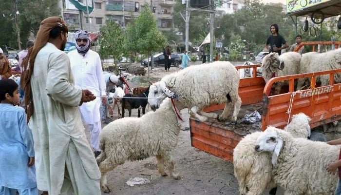 سندھ نے عید الاضحیٰ 2026 کی تعطیلات کے حوالے سے اہم اپ ڈیٹ جاری کردیا۔