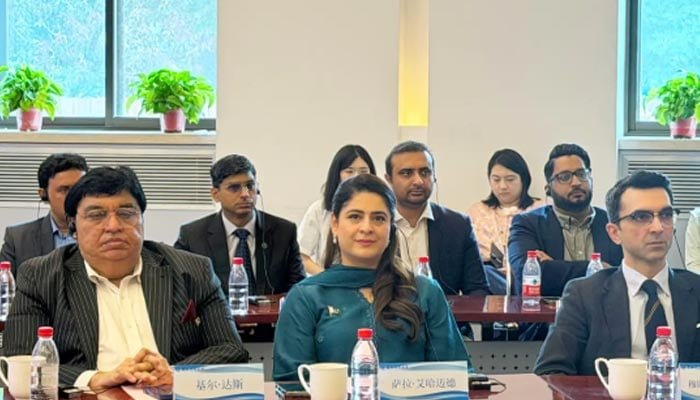چائلڈ پروٹیکشن بیورو پنجاب کی چیئرپرسن ایم پی اے سارہ احمد کیپٹل نارمل یونیورسٹی، چین میں۔ — Instagram/@sahmad1986