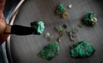 Malachite fragments, a mineral rich in copper, recovered during the excavation works at Cova 338
