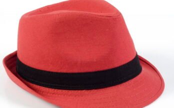 A photograph of a red fedora