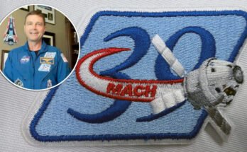 Composite image of a mostly-blue embroidered patch and an inset of an astronaut wearing the same design.