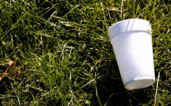 An empty styrofoam coffee cup lying on the ground.