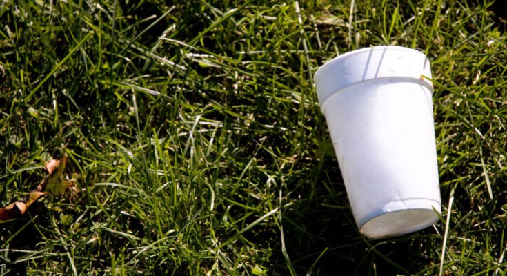 An empty styrofoam coffee cup lying on the ground.