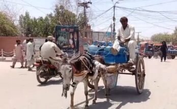 جیکب آباد کے کارکن شدید گرمی کیسے برداشت کرتے ہیں۔