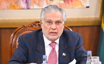 ڈی پی ایم ڈار نے صومالیہ پر زور دیا کہ وہ قزاقوں کے زیر حراست پاکستانی بحری جہازوں کی فوری رہائی کو یقینی بنائے