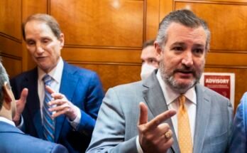 US Senators Ted Cruz and Ron Wyden speaking to people in the US Capitol.