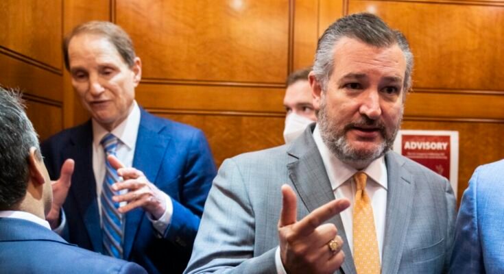 US Senators Ted Cruz and Ron Wyden speaking to people in the US Capitol.