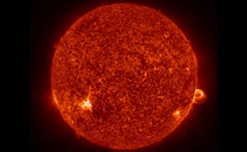 Image of the Sun with solar flares.