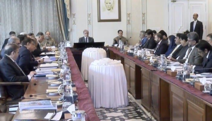 وزیر اعظم شہباز شریف 10 جون 2026 کو اسلام آباد میں قومی اقتصادی کونسل (این ای سی) کے اجلاس سے خطاب کر رہے ہیں۔ - یوٹیوب/جیو نیوز کے ذریعے